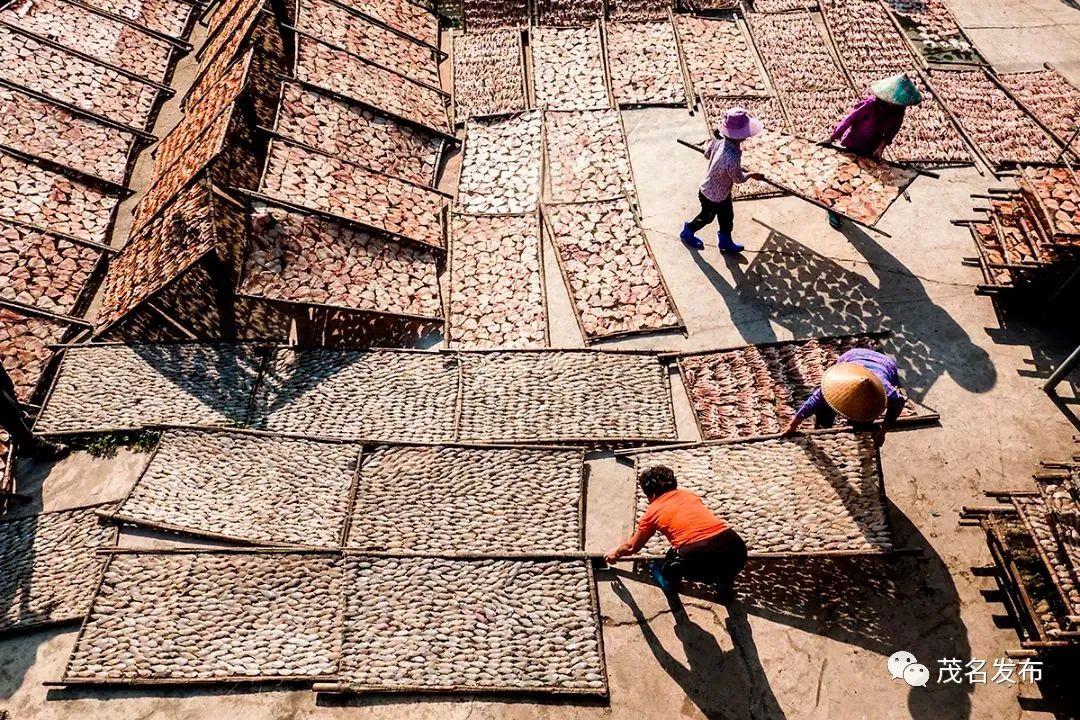 疍家特色文化,游玩疍家文化