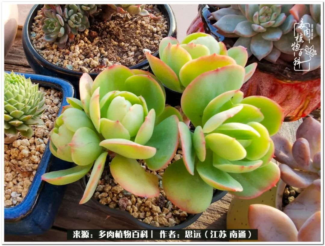 隔着时间的深爱，来自秋天的私语