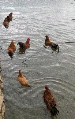 “姑娘，你知道衣服上的字是什么意思吗？”哈哈哈自信的姑娘最美