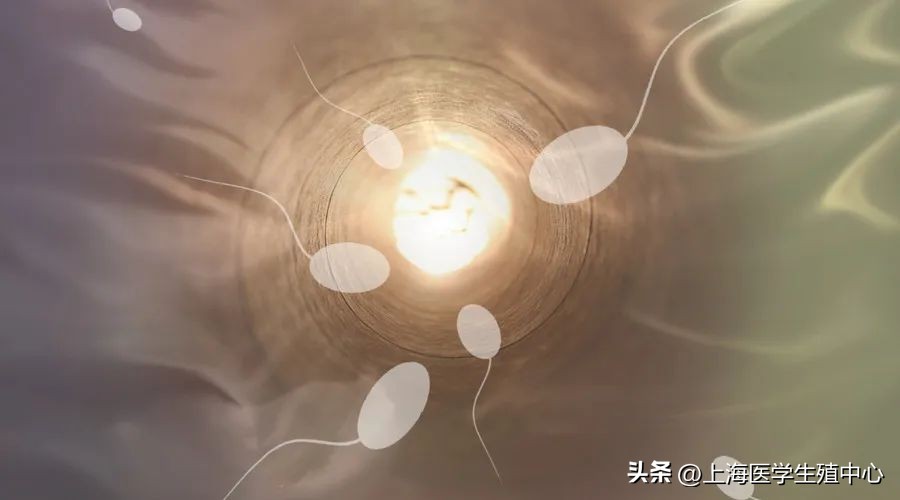 试管婴儿全过程就三个步骤,十个试管婴儿全部成功