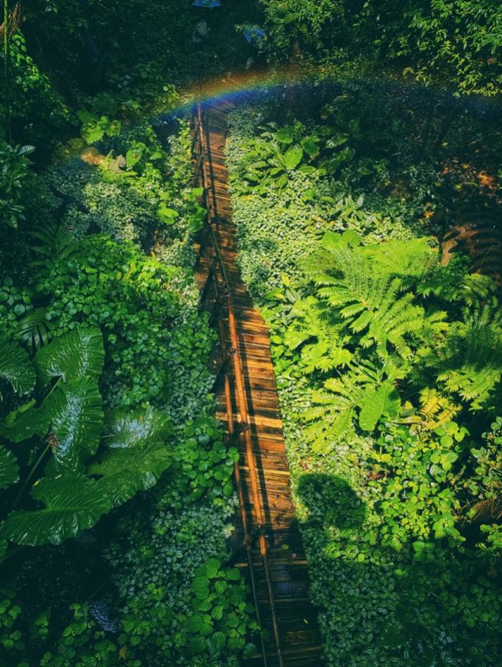 深圳游玩推荐免费遛娃,深圳十大遛娃必去景点学生党