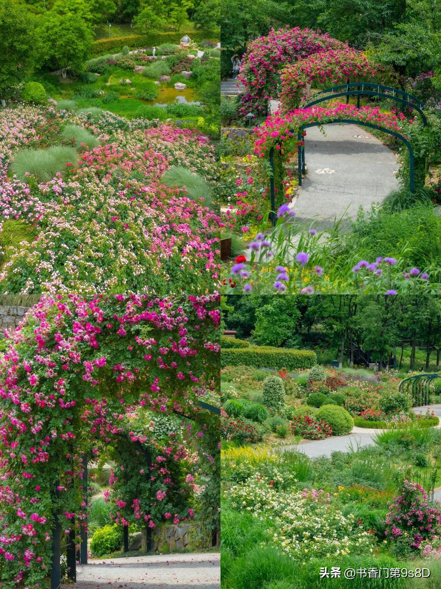 美丽的田野原唱,美丽的田野第32集