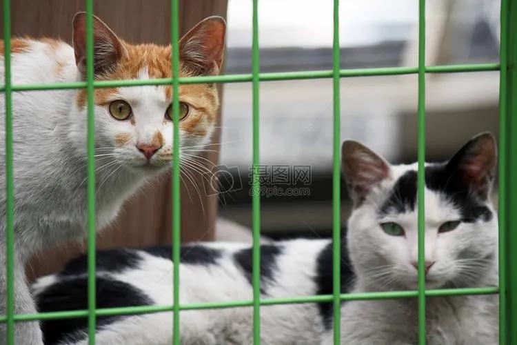 超级夸张假睫毛,超级夸张的妆