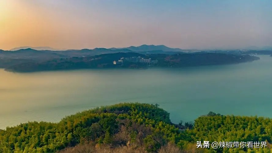 五月我在等你的美句,五月我在花海等你