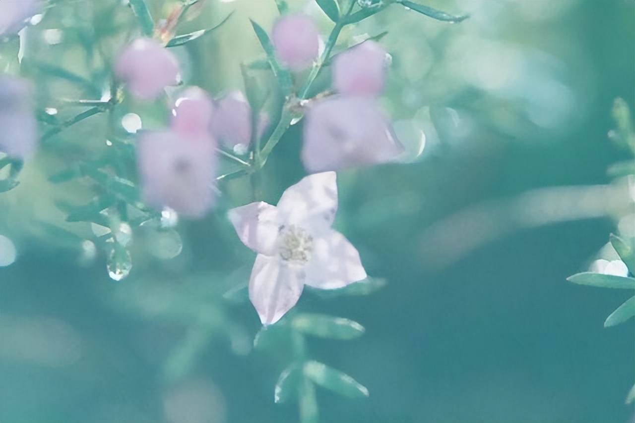 真爱你的男人断联后的表现,一个人爱不爱你断联一次就明白了