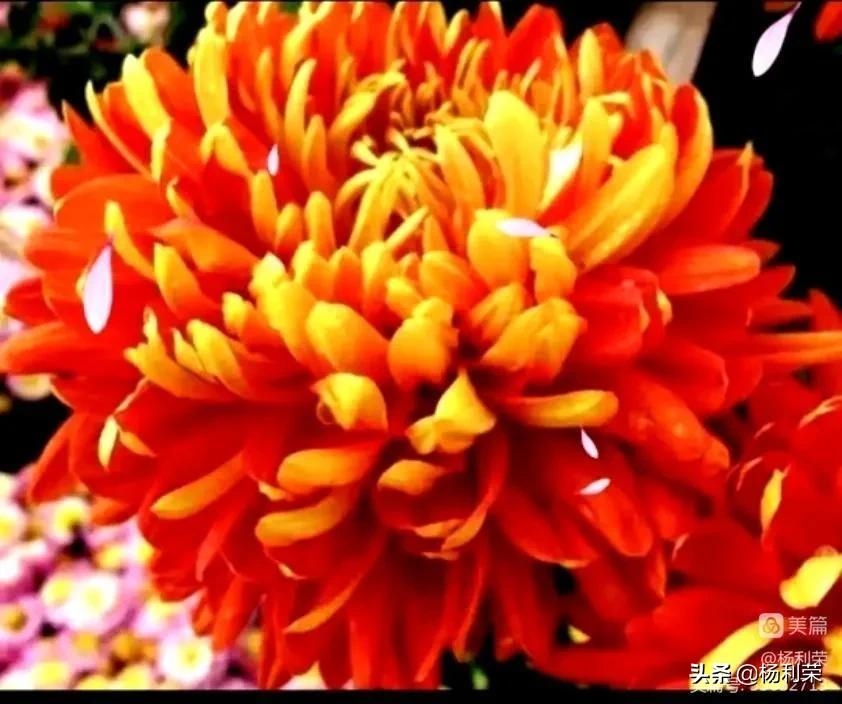 七律人生感悟二十八首,最经典的七律20首