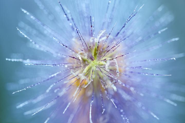 腾龙85mm定焦镜头副厂推荐,18-200腾龙镜头和原厂镜头对比