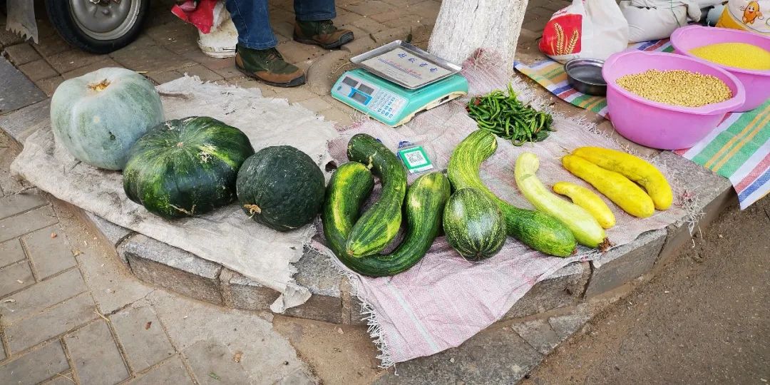 唐山哪卖辽峰葡萄,两串葡萄卖五百