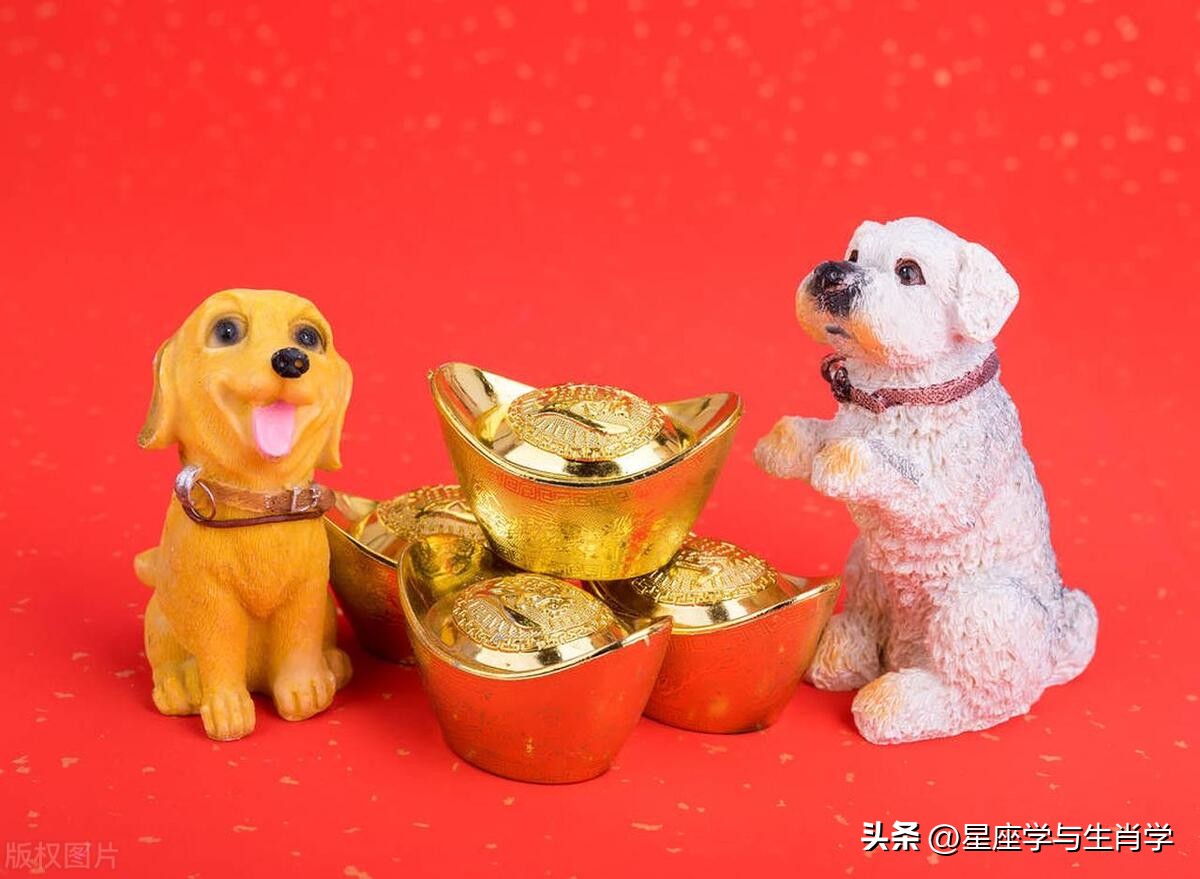 生肖狗进入七月份运势,七月中旬生肖狗的运势