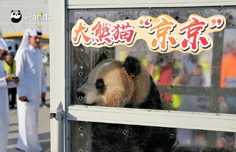 卡塔尔世界杯投入2000亿谁赚了,卡塔尔为世界杯花费多少钱