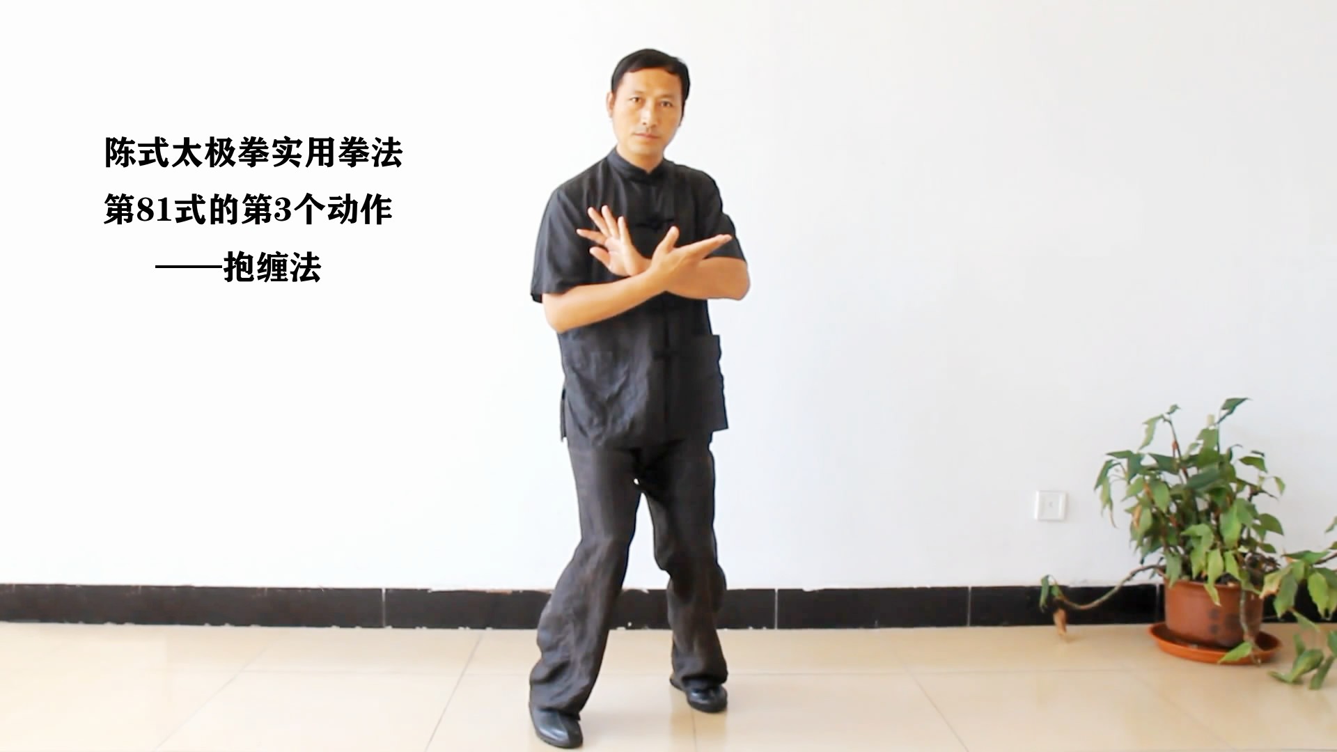 陈式太极拳实用拳法第十式,陈式太极拳新架一路83式口诀详解