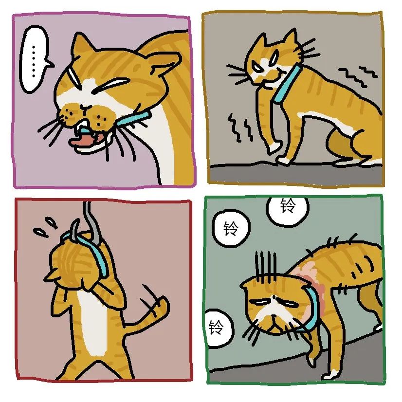 再见了，项圈，再也不见！