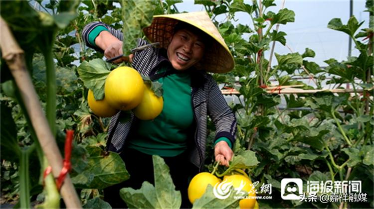 山东济宁乡村振兴之路,济宁乡村振兴蓝图