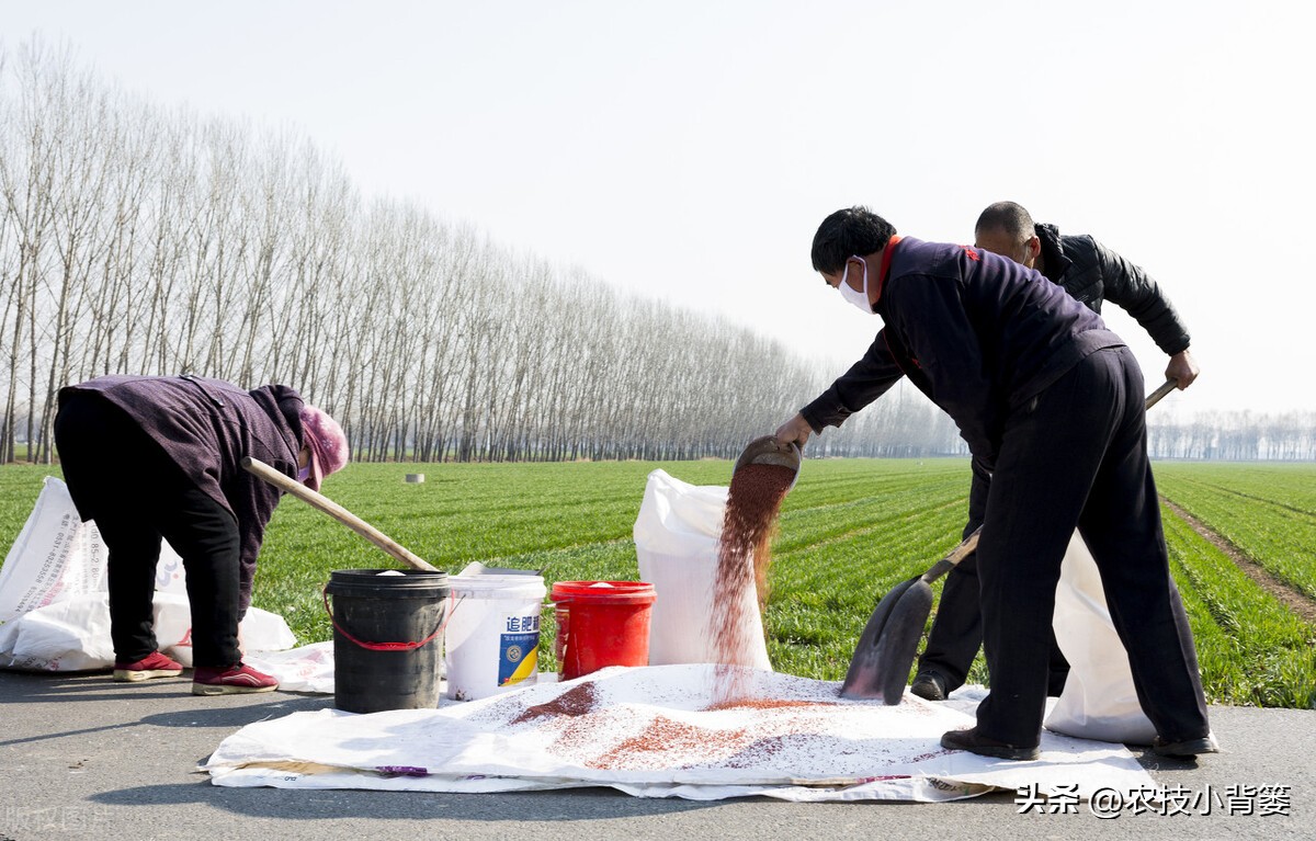 复合肥掺混肥各有什么区别,复合肥复混肥掺混肥哪个好