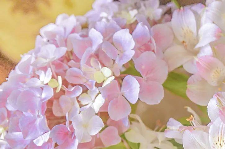 如何正确吃饭顺序最健康,饮食少食多餐才是正确的饮食