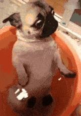 5,福利就是高清*码无**