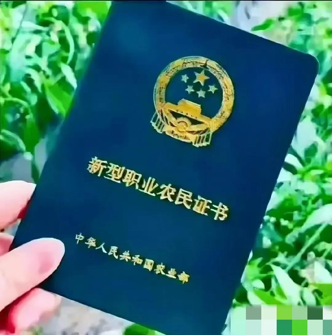 城市套路深怪不得都想回农村,城市套路深还是回农村比较实在