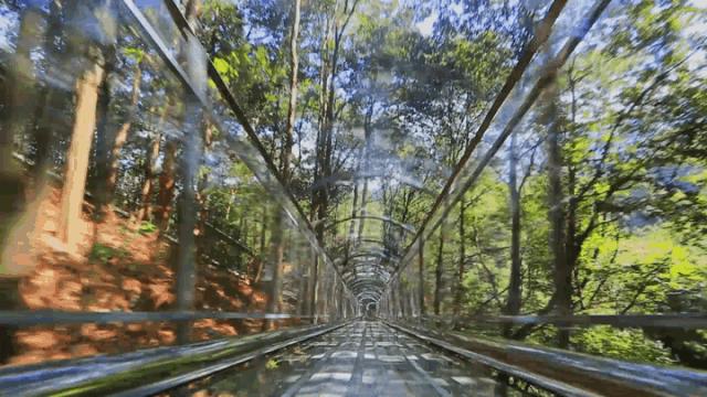 昆明周边旅游的好去处,常见的昆明周边度假攻略