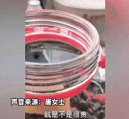 “谁再给猫喝酒，我扇烂ta的嘴巴！”