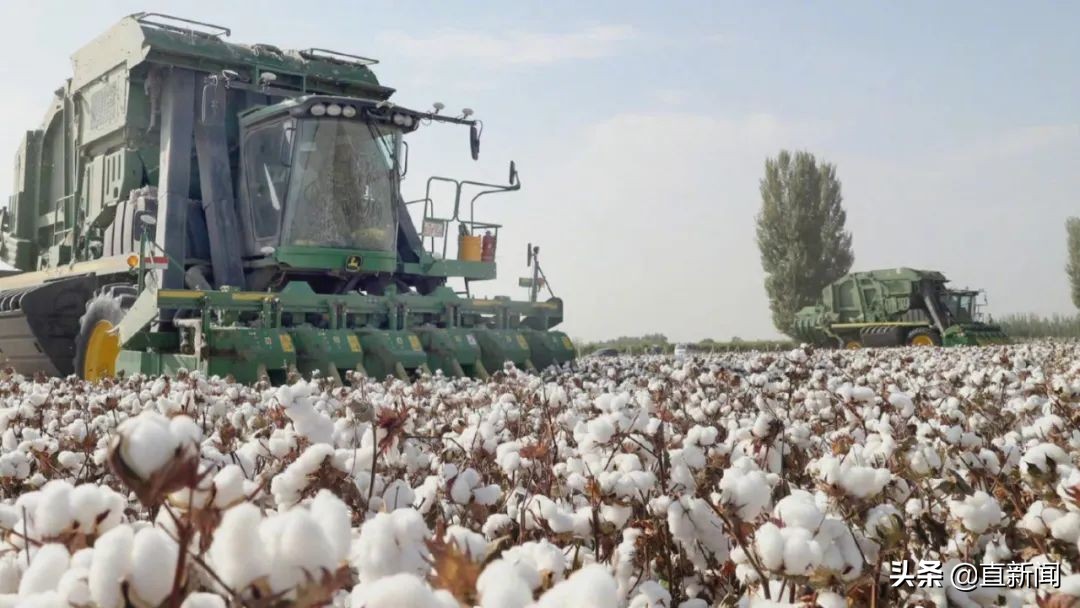 又提*疆新**！为何欧洲议会伙同美国一起对华打“*权人**牌”？｜北京观察