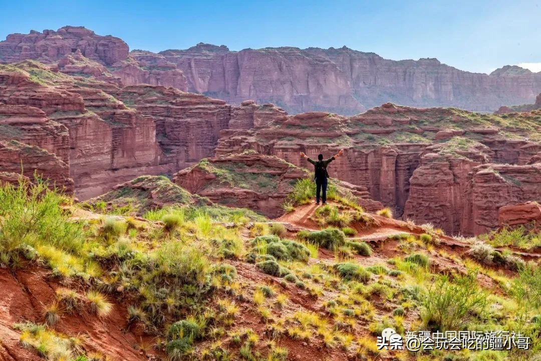 家庭出游7座车,家庭旅游8座车