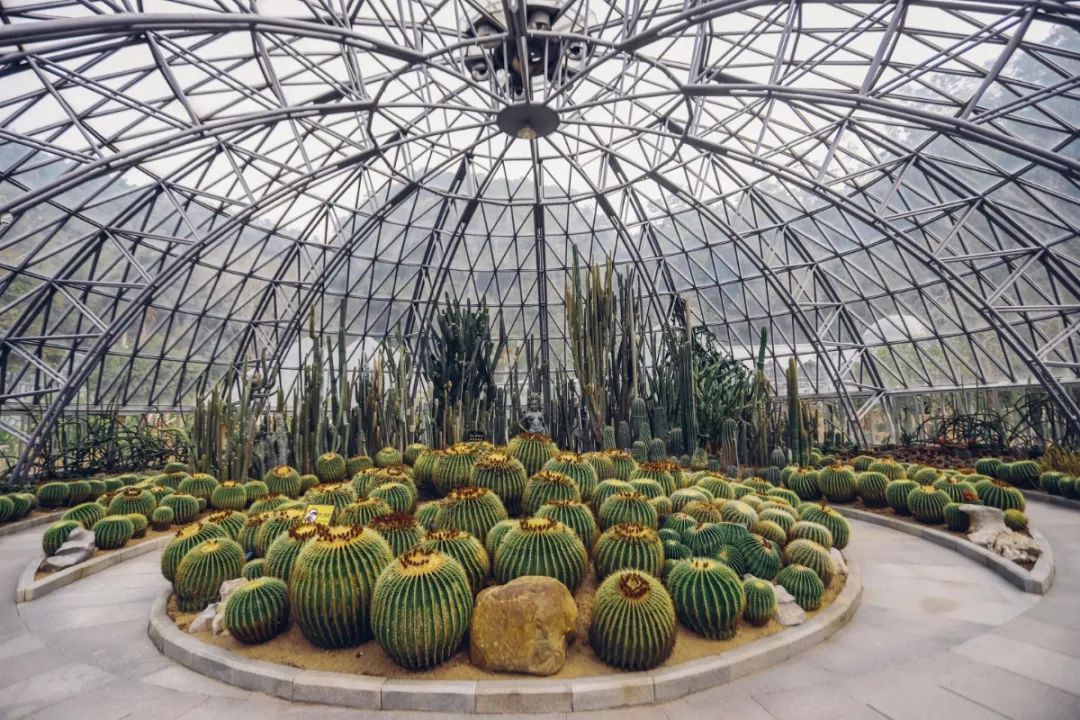 罗湖好玩拍照打卡地方推荐,罗湖游玩地点打卡攻略