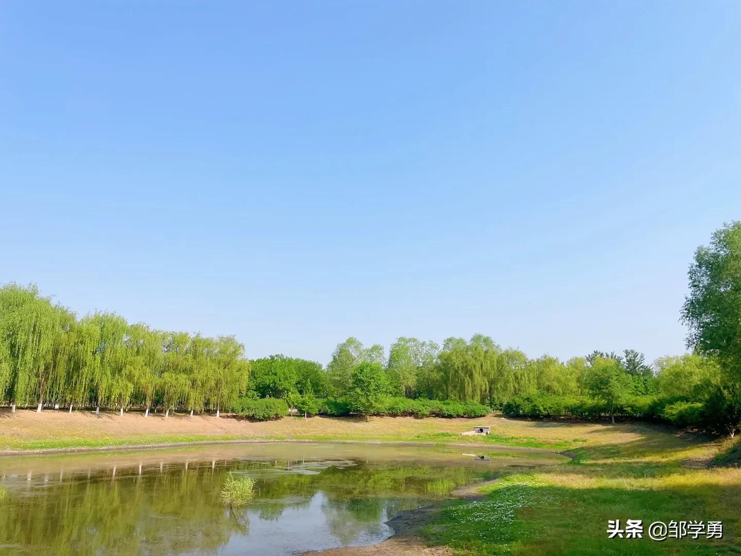 晨跑每一份坚持和努力都是值得的,晨跑不是每一次努力都会有收获