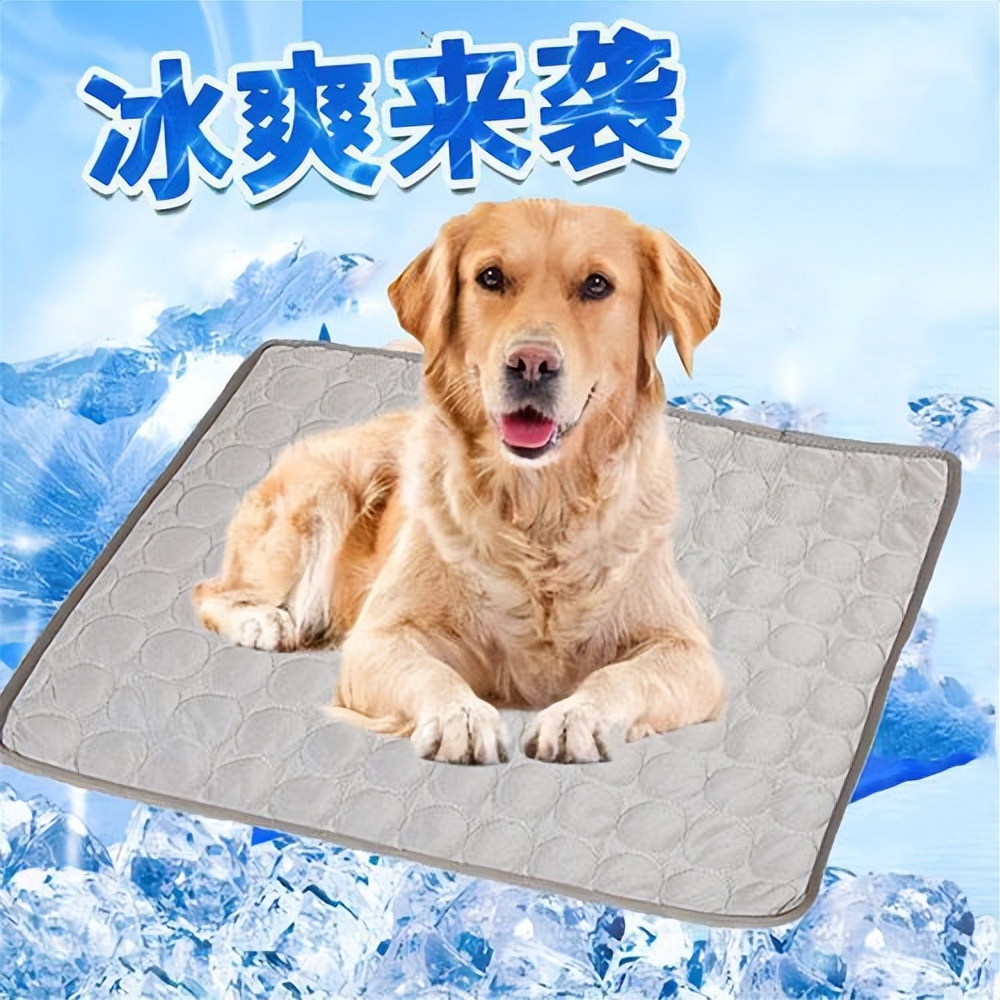 宠物降温垫有用吗,40度的高温宠物冰垫有用吗