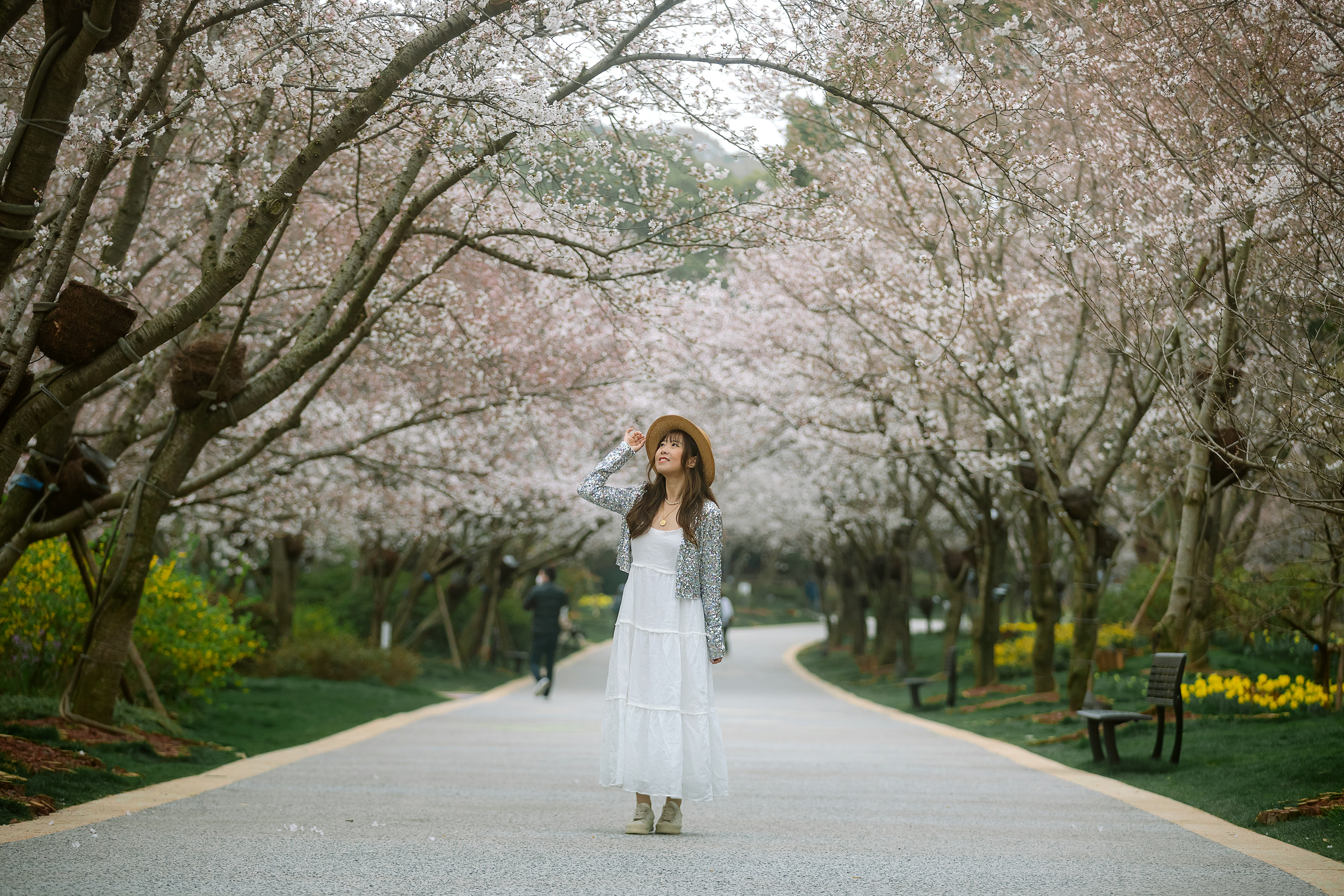 鼋头渚樱花盛宴比日本更令人沉醉,太湖鼋头渚樱花美如画