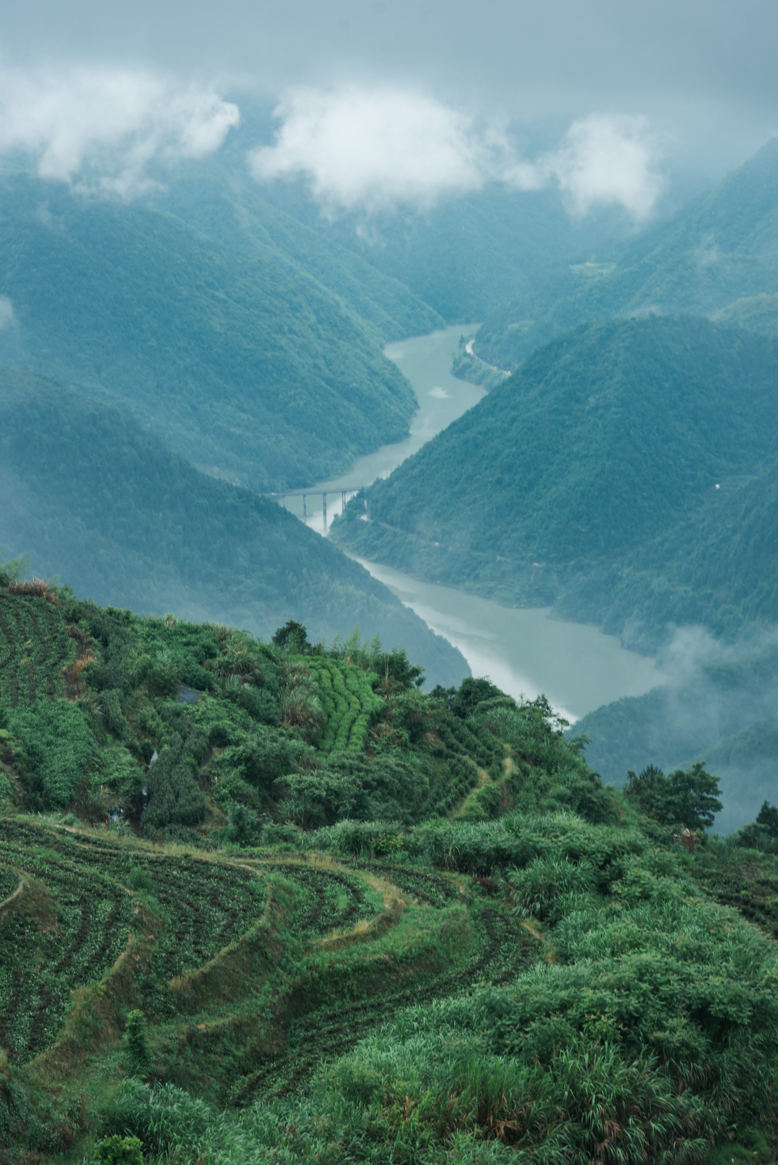 丽水遂昌旅游攻略一天游 (丽水遂昌被称旅游胜地)