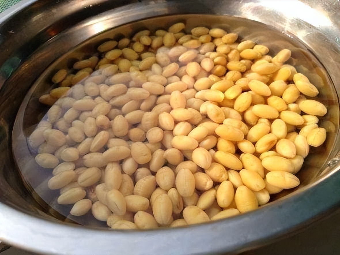 塑料养花小桶,塑料桶养花种菜