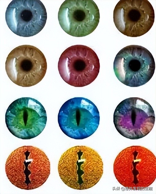 清纯小鹿眼美瞳 (清纯鹿眼美瞳)