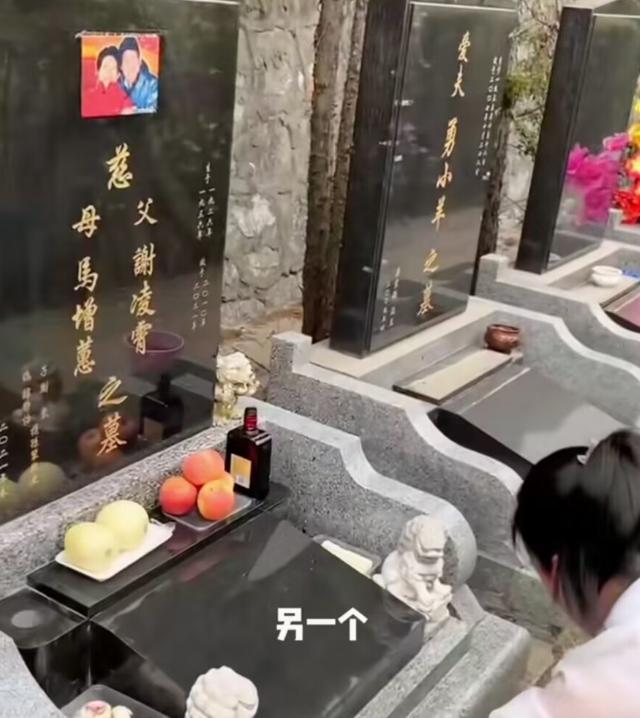 谢东携孕妻上坟引争议,60岁谢东携孕妻上坟引争议