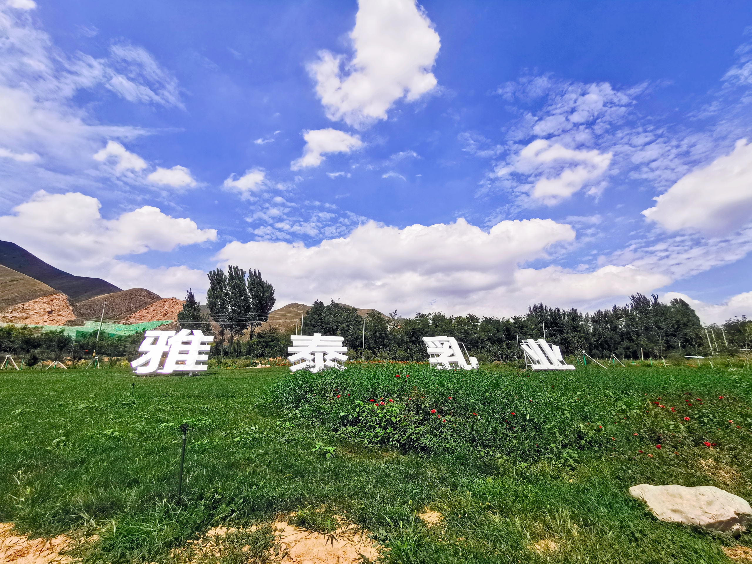 婴幼儿羊奶粉朵恩,朵恩4段儿童羊奶粉