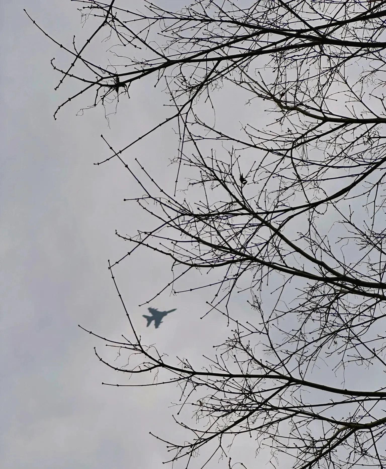 歼轰7飞豹北约代号,歼轰七飞豹还在服役吗