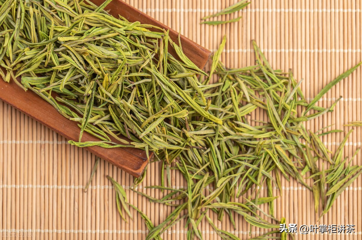 安吉白茶是兰花香还是栗香,安吉白茶到底是白茶还是绿茶