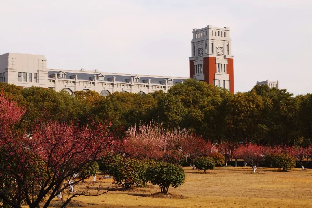 上海华东政法大学介绍与发展历程,华东政法大学上海政法学院