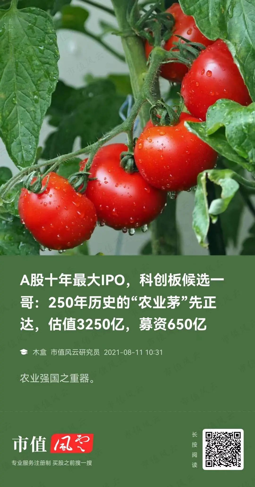 自比安道麦,上市涨不停,多项海外登记:润丰股份,国内农药产业缩影