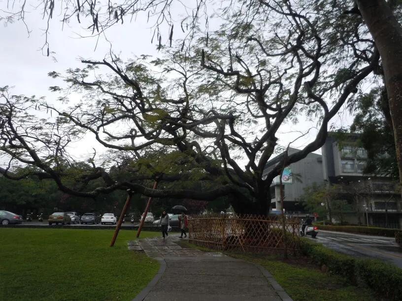 跟随老韩走遍中国，台湾自助游之十三