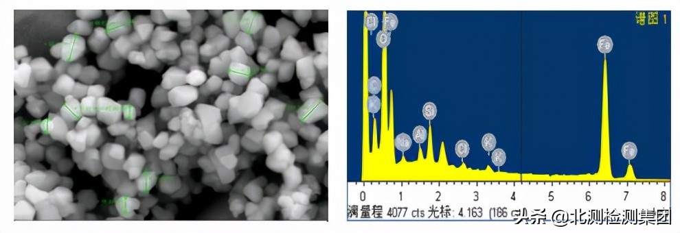 扫描电镜能谱分析实验步骤,扫描电镜sem分析结果