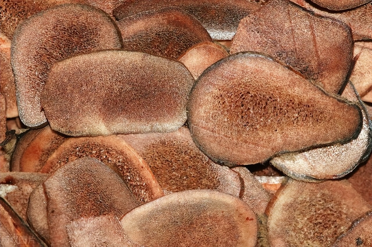 养生滋补鹿茸,鹿茸滋补养生之道