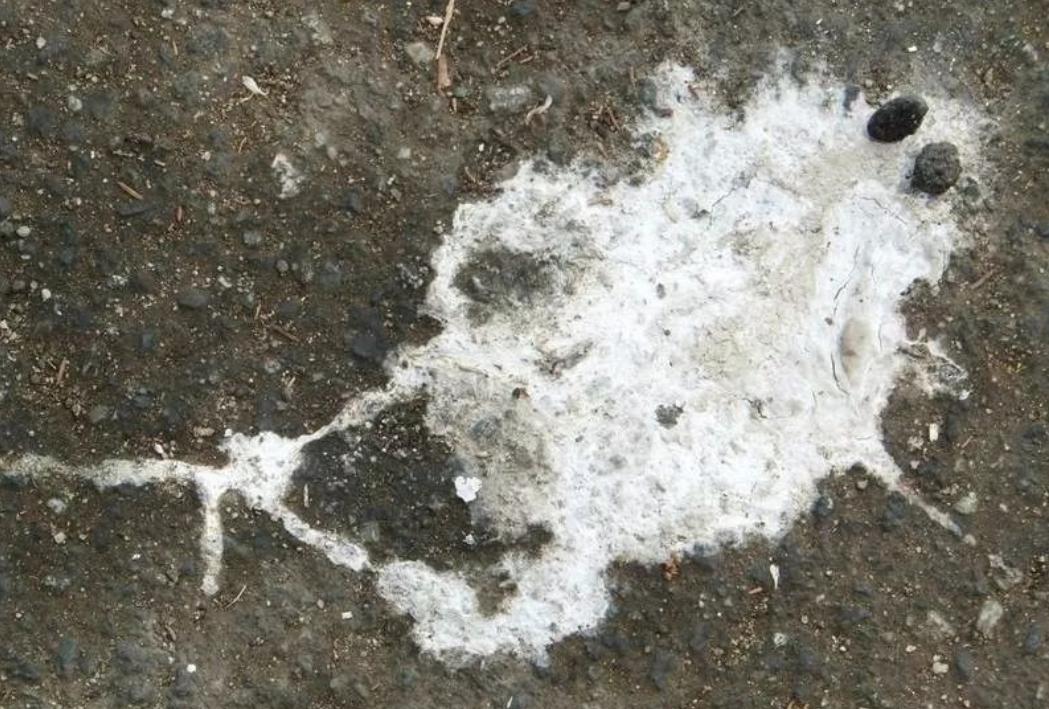 瑙鲁真的曾经很富有吗 (最有钱的瑙鲁是怎么破产的)