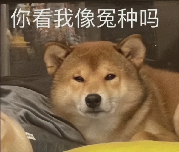 澶х墝缇庡鍦ｈ癁闄愬畾,澶х墝缇庡鍦ｈ癁濂楄