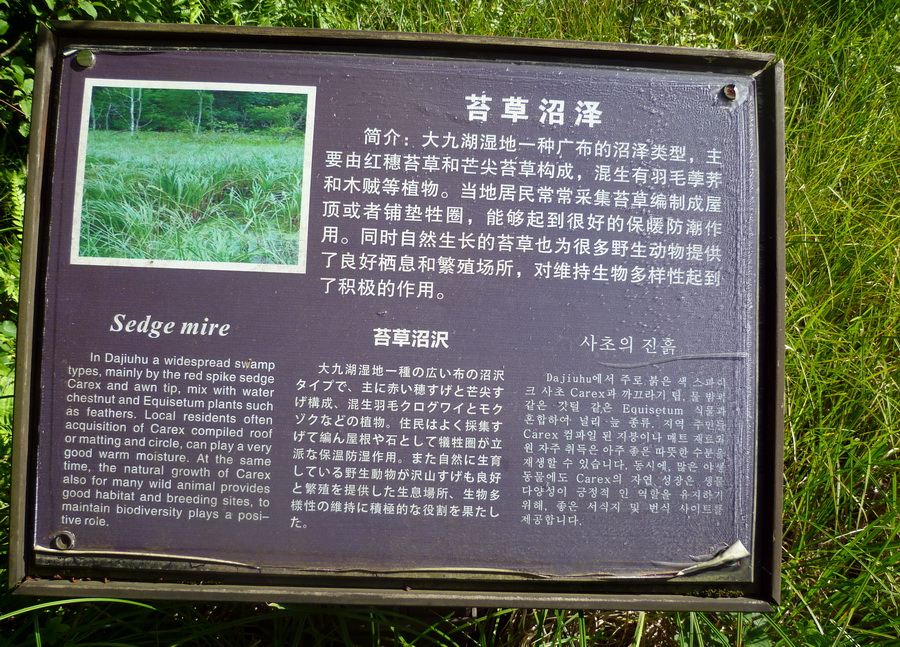 带你欣赏大九湖的美景,大九湖之旅