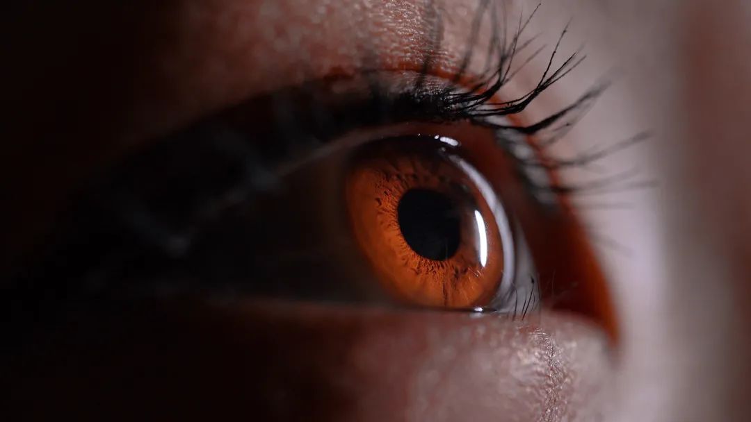 眼皮抬不起来了真困,眼皮抬不起来是阳吗