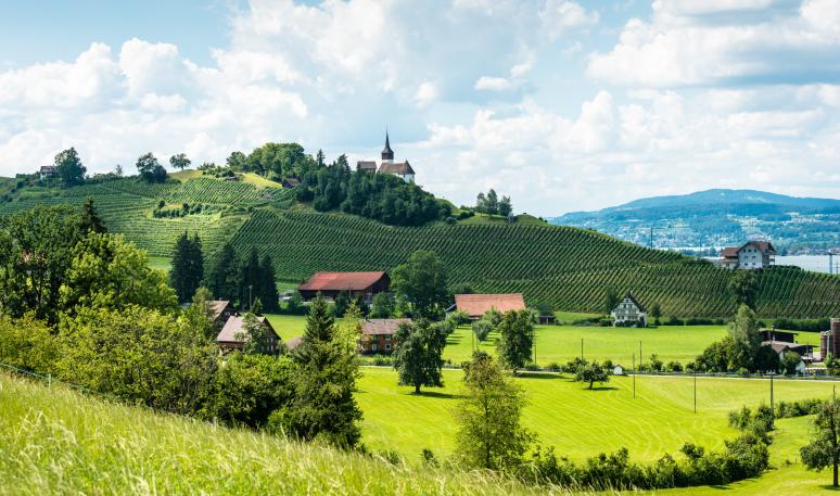 村庄规划需要注意哪些问题,村庄规划项目怎么做