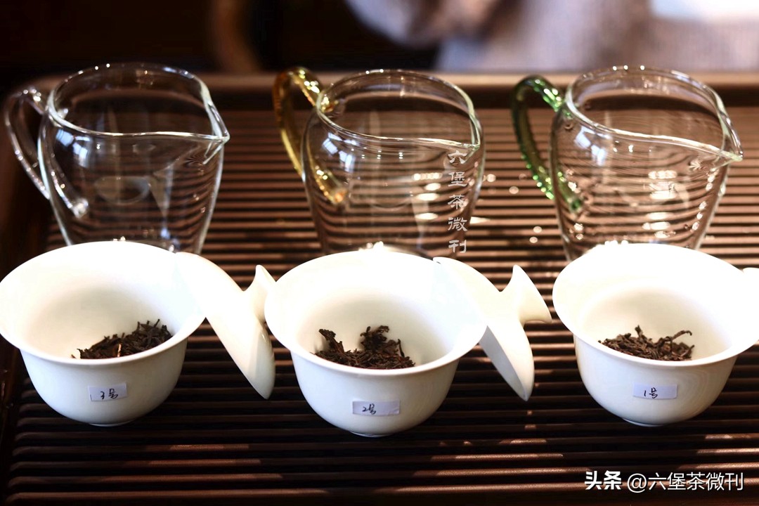 同款茶为什么价格不一样区别在哪,好的六堡茶价位
