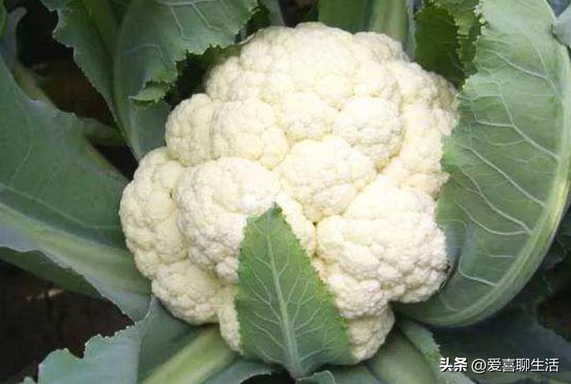 春季，6种蔬菜晒干比新鲜的更好吃，炒菜做饭特别香，还久放不坏