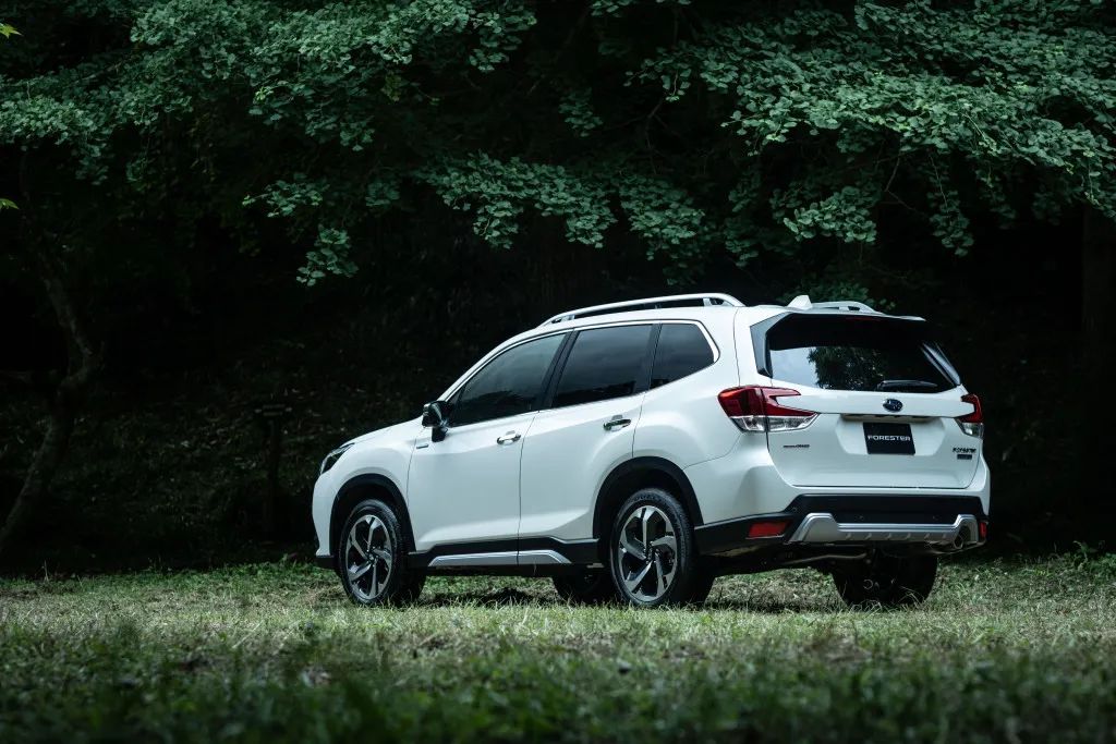 新款森林人上市,ds新车预告片