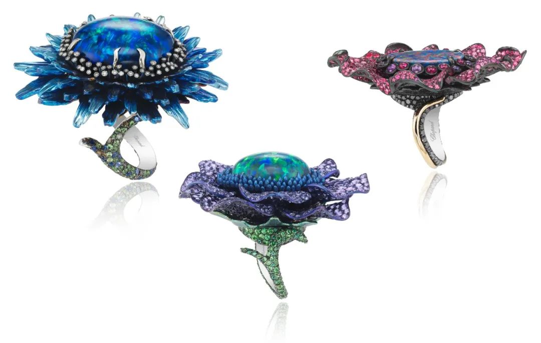 涓轰粈涔堣繖浜涘僵瀹濊繖涔堣吹,鐐僵鐝犲疂